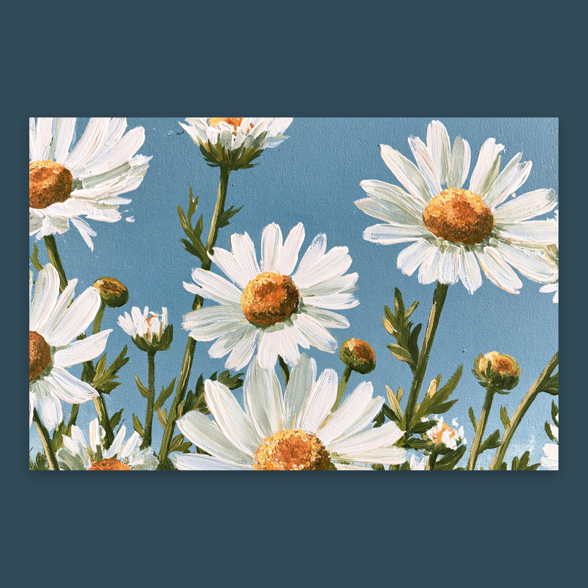 Daisies in Bloom flat lay