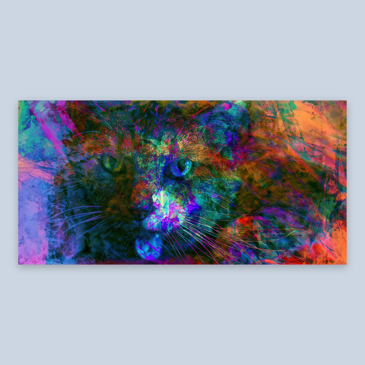 Blue Cat in Color Haze flat lay