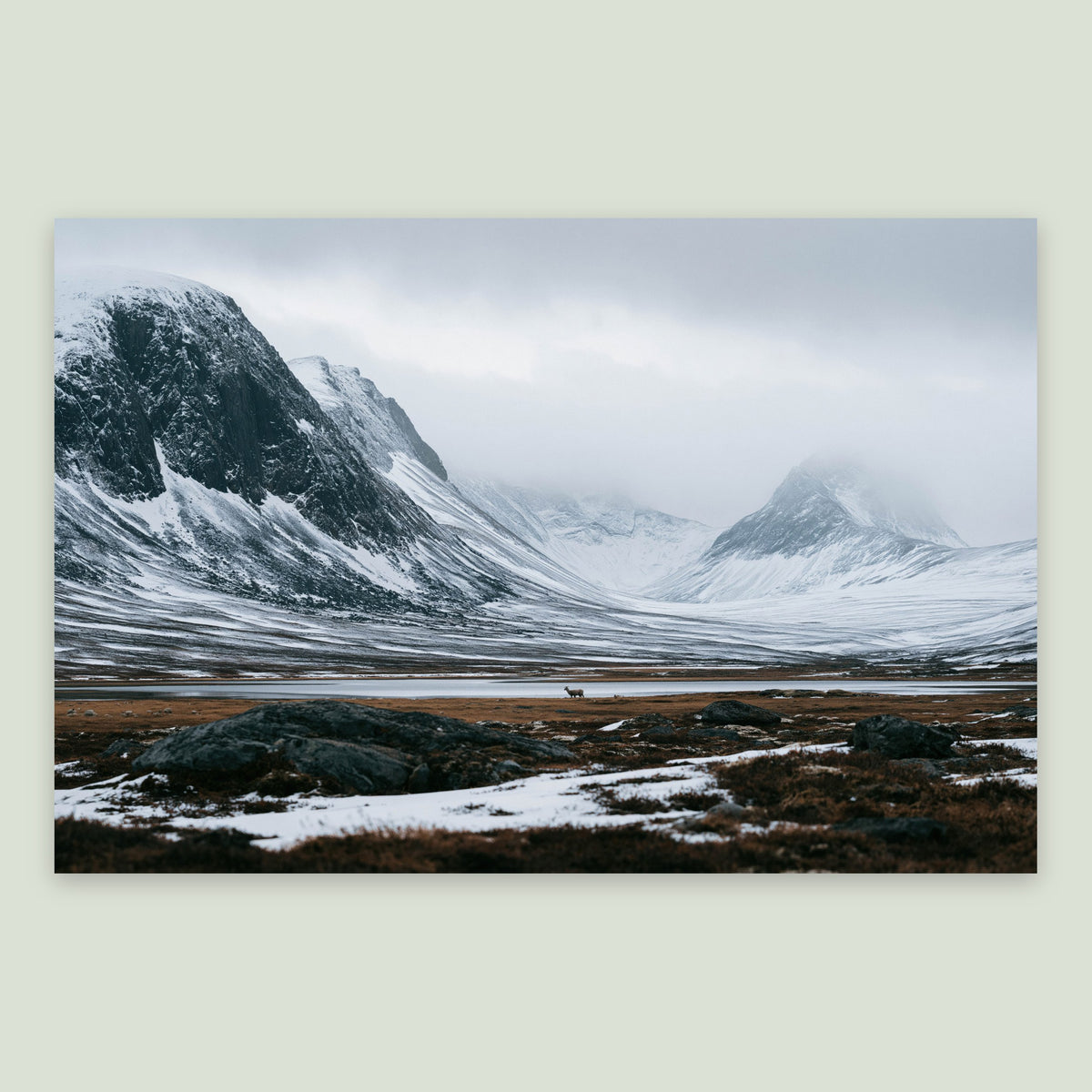Snowy Mountain Valley with a Lone Deer flat lay