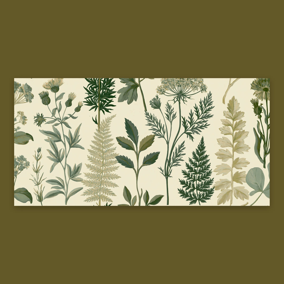 Botanical Fern and Herb Chart flat lay