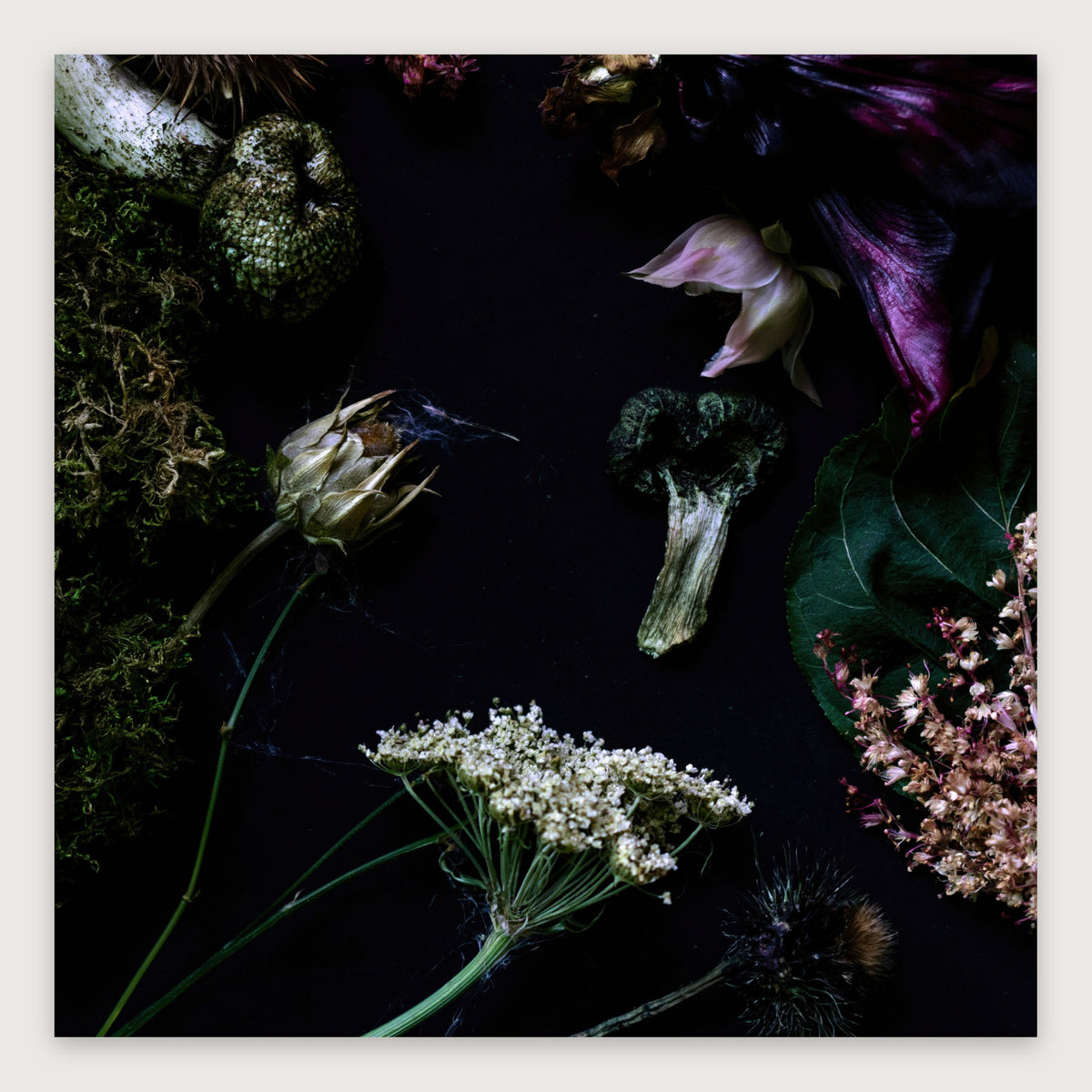 Moody Dark Florals flat lay