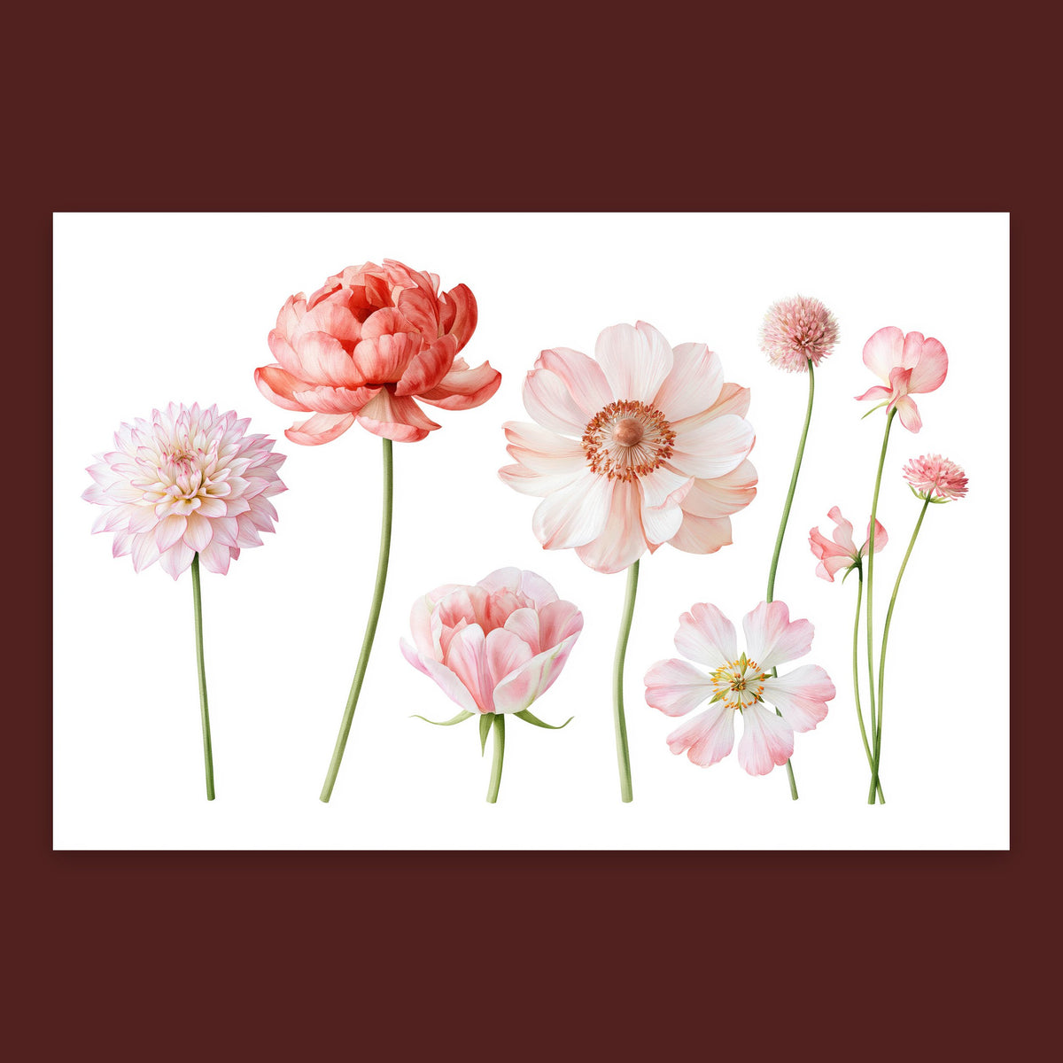 Pink Blooms in a Row flat lay