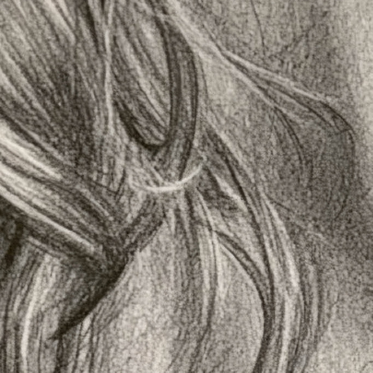 Braided Hair Sketch Portrait close-up detail