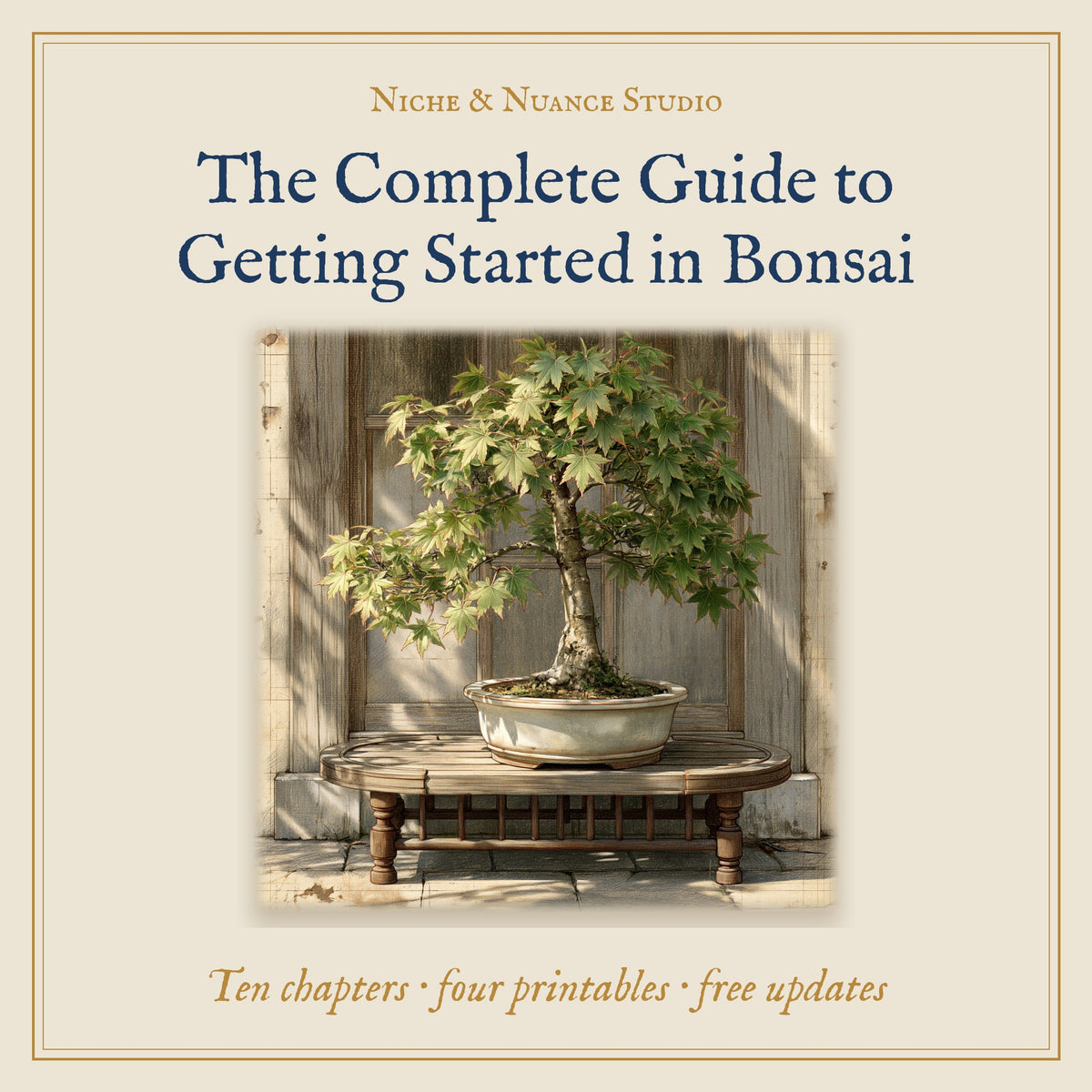 The Complete Guide to Getting Started in Bonsai