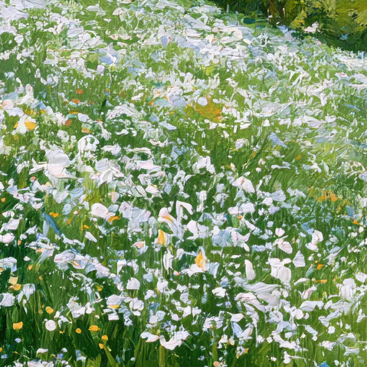 Hillside Meadow close-up detail