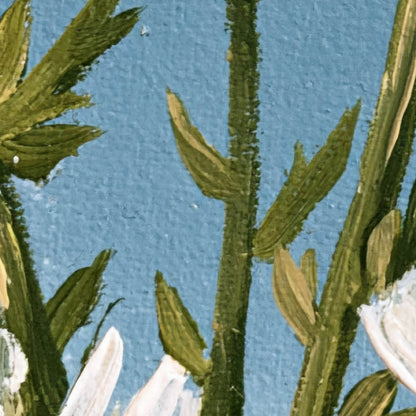 Daisies in Bloom close-up detail