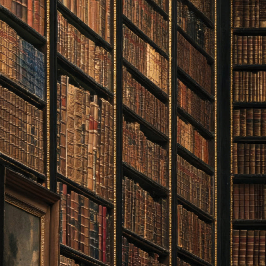 Portrait in the Grand Library close-up detail