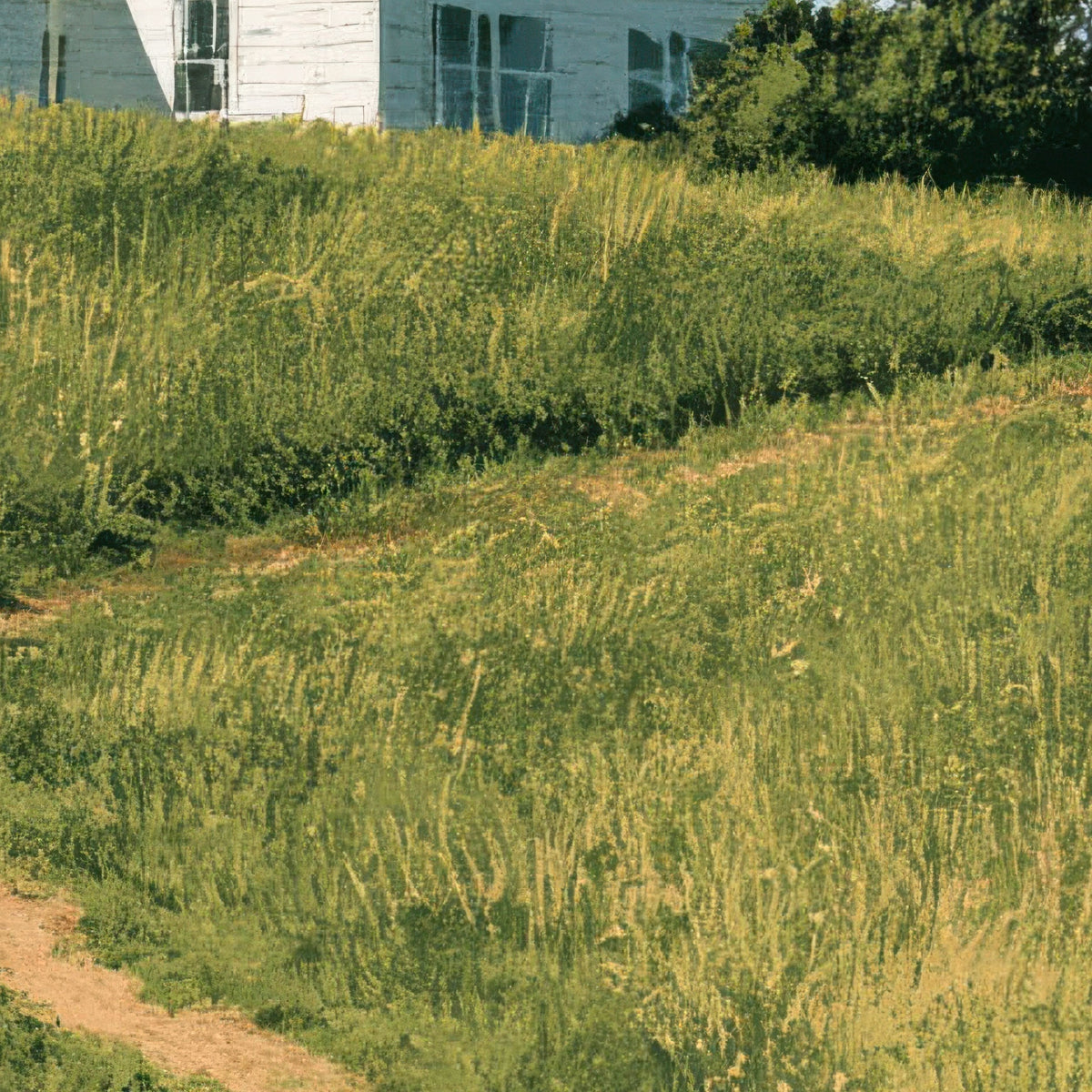 Hilltop Farmhouse Path close-up detail
