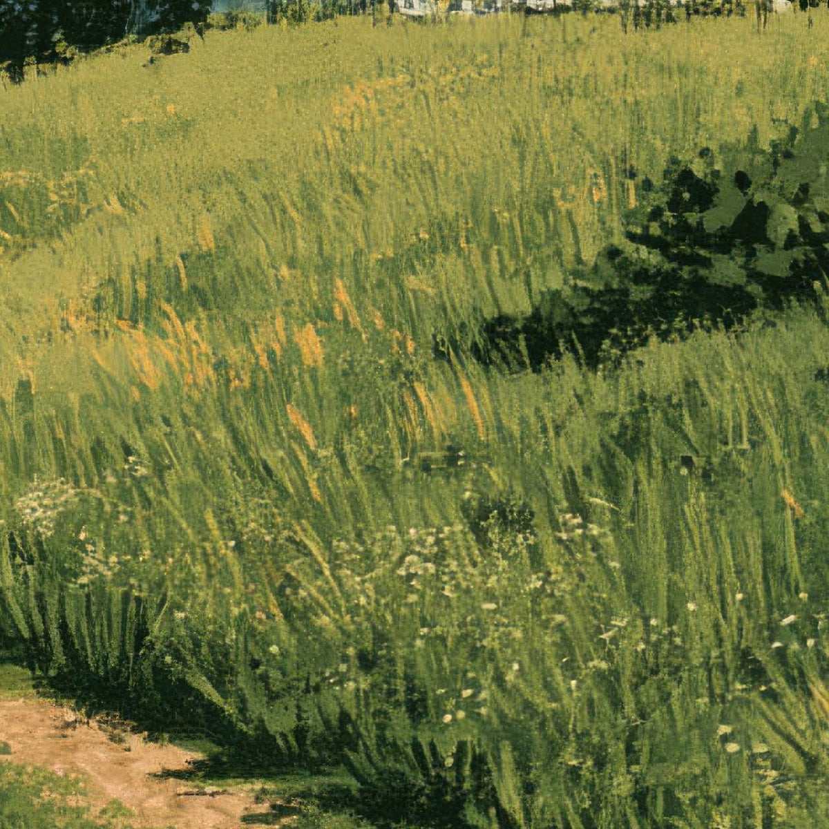 Green Hillside Farmhouse close-up detail