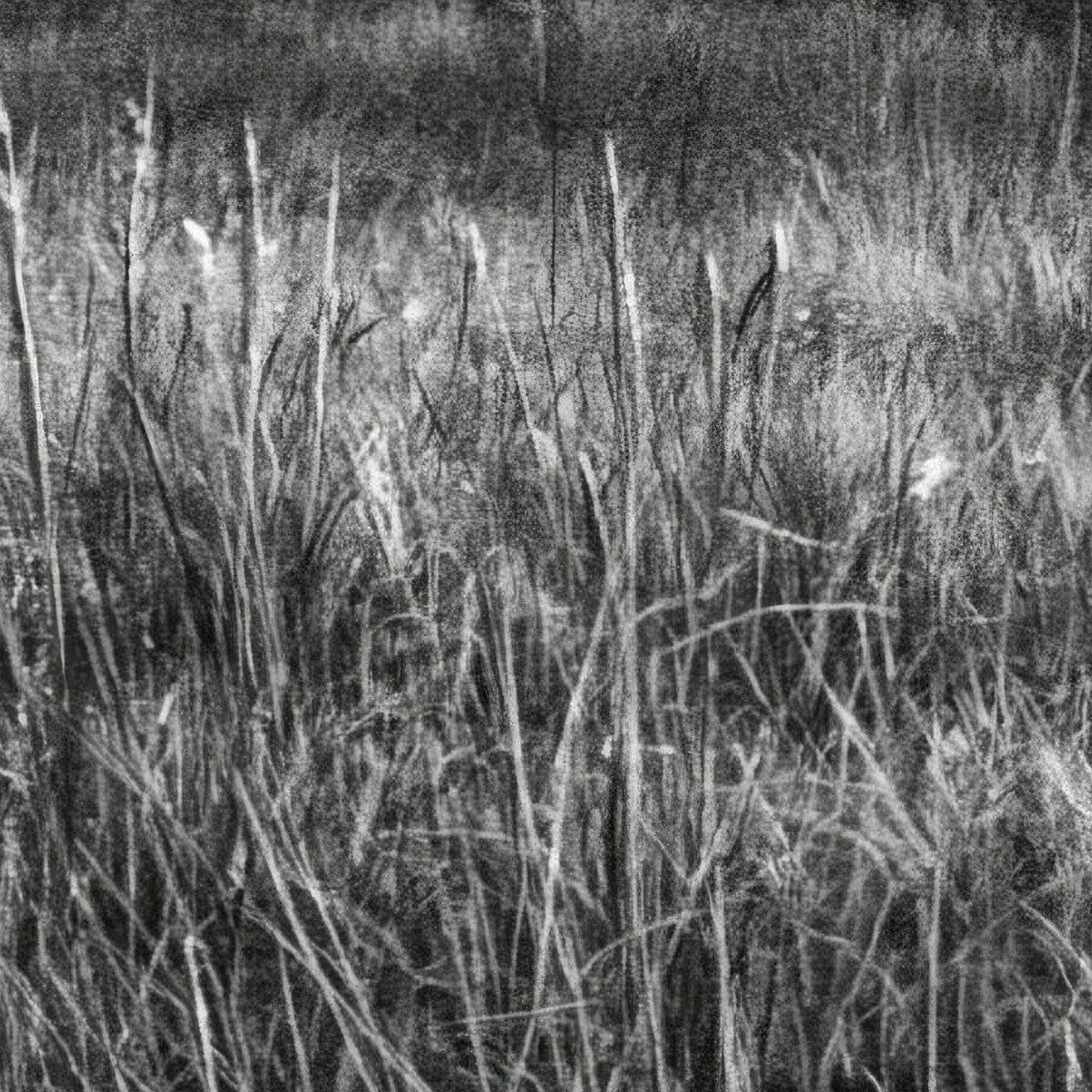 Farmhouse in a Quiet Meadow close-up detail