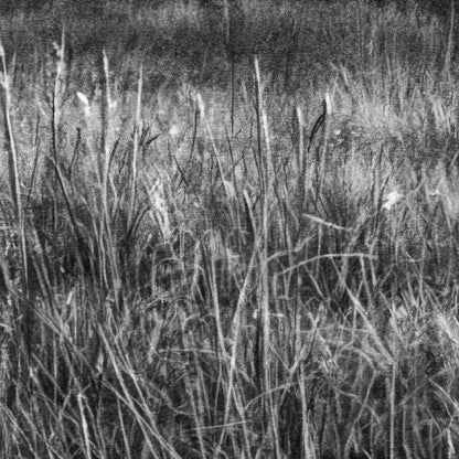Farmhouse in a Quiet Meadow close-up detail