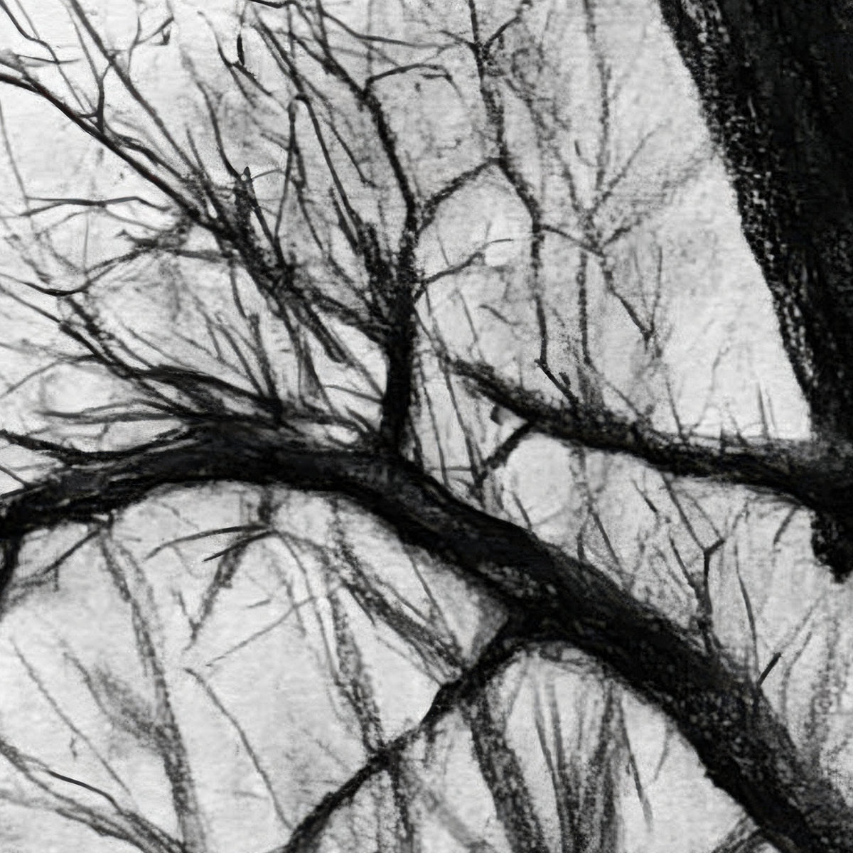 Farmhouse Behind the Ancient Tree close-up detail