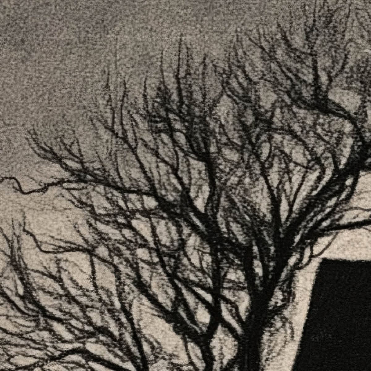 Moonlit Farmhouse Silhouette close-up detail