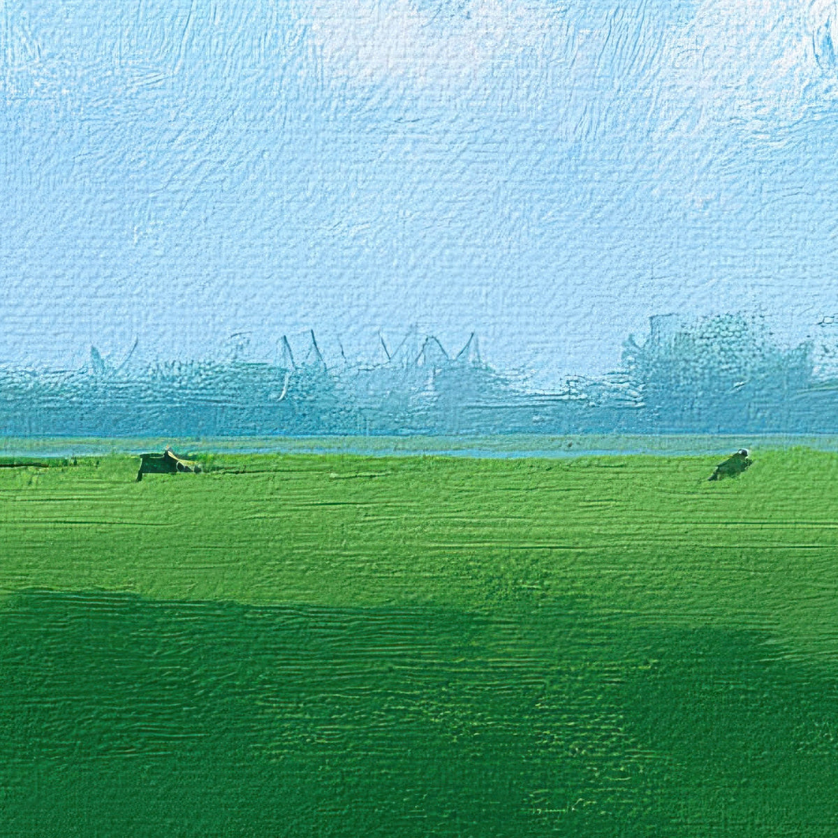 Open Green Meadow close-up detail