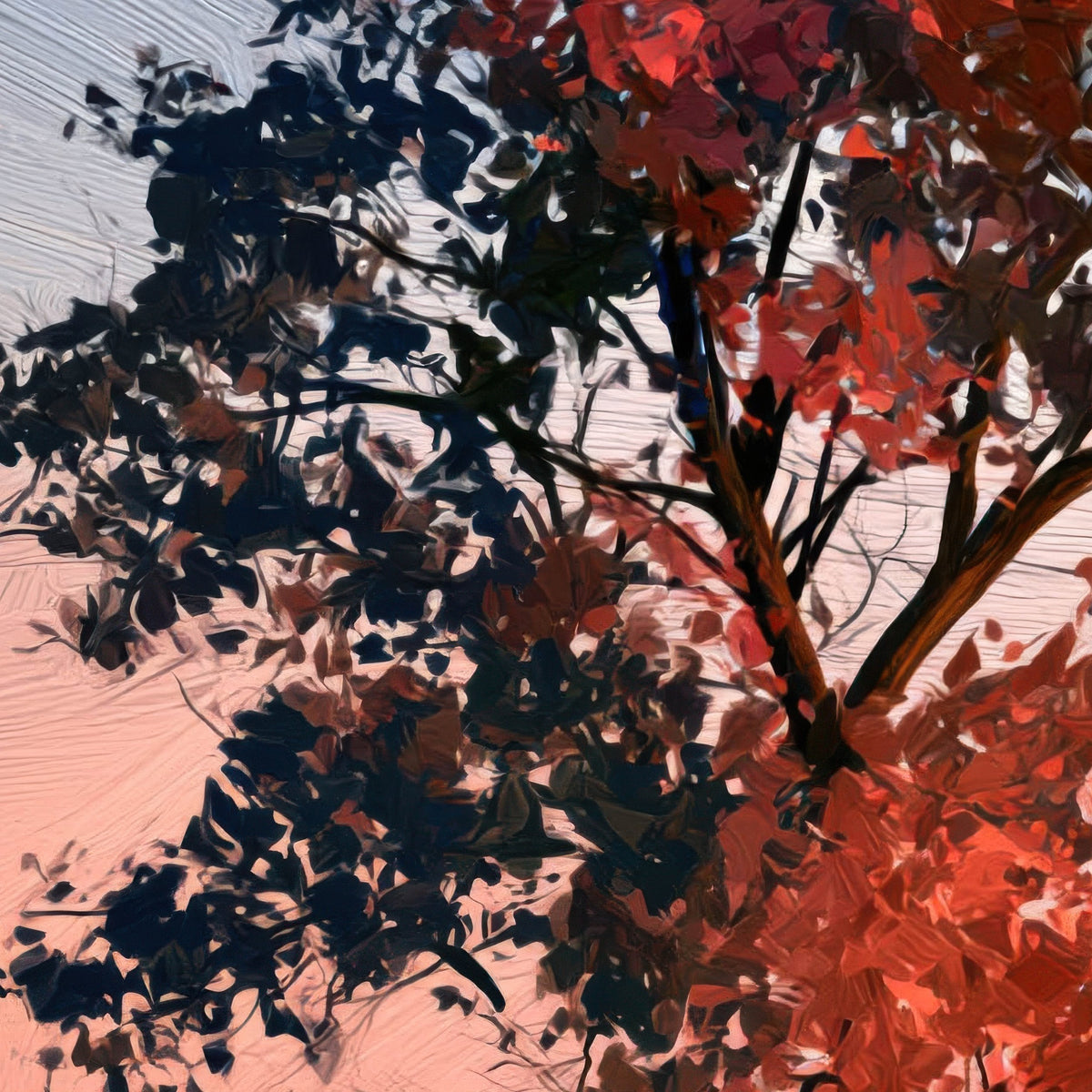 Lone Tree at Sunset close-up detail
