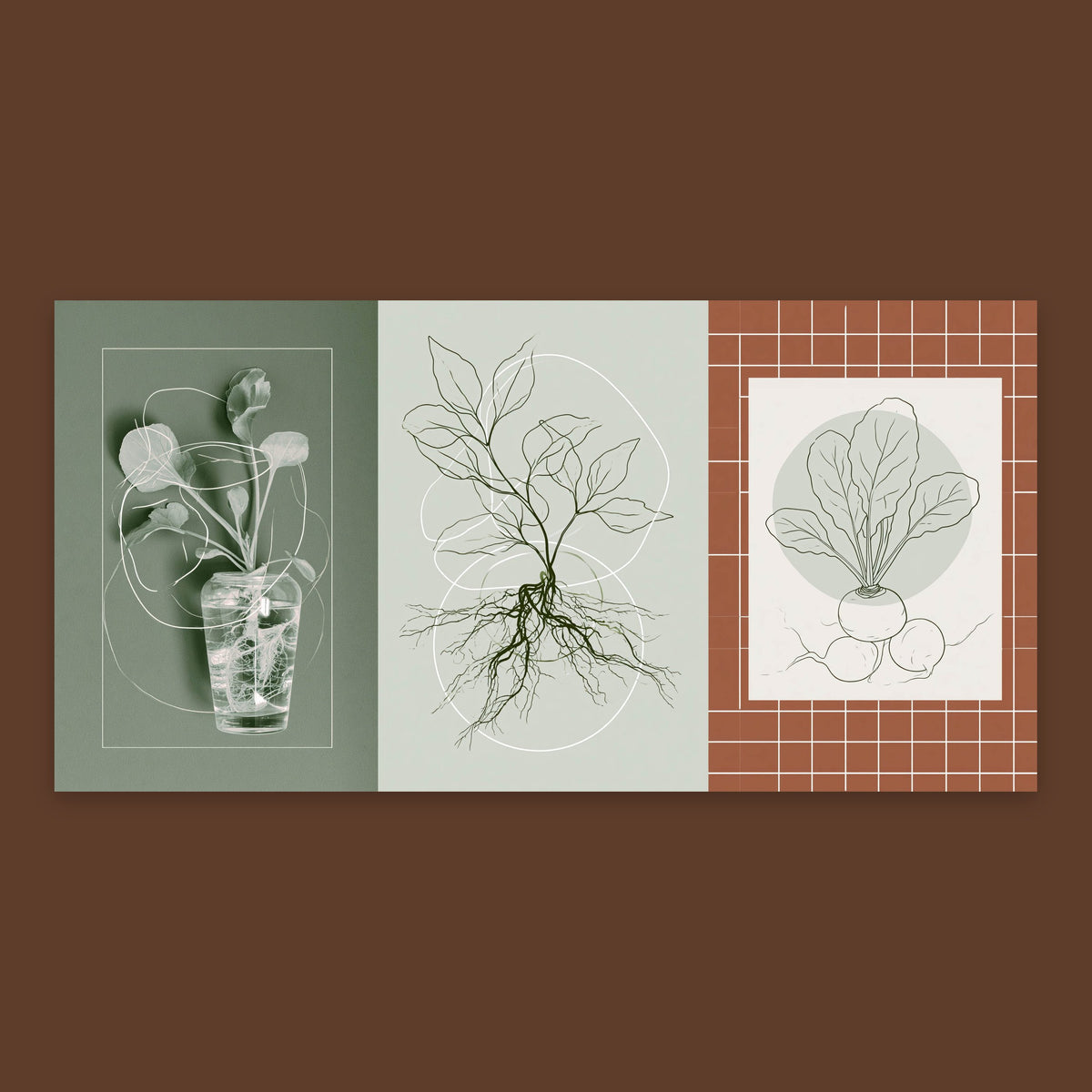 Kitchen Garden Botanical Set – Japandi Wall Art