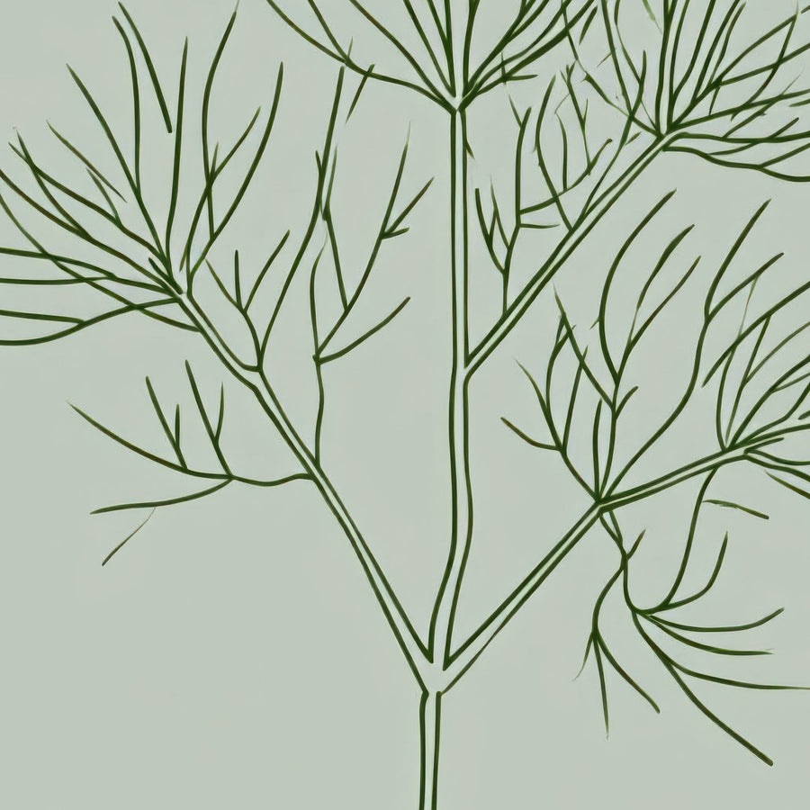 Sage and Clay Botanical Panel – Japandi Wall Art