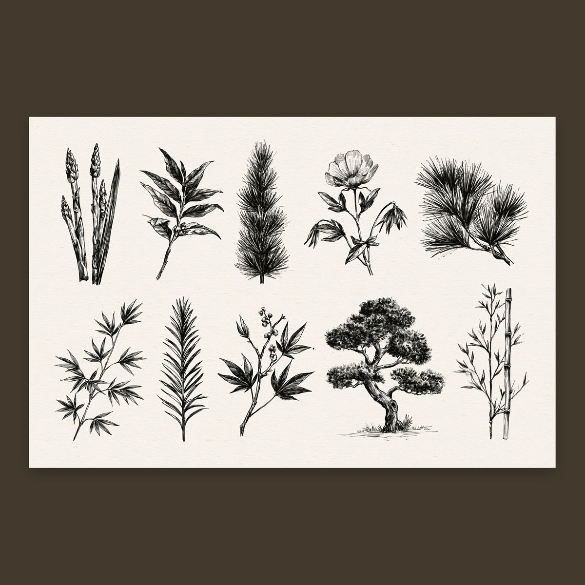 Japanese Botanical Chart flat lay