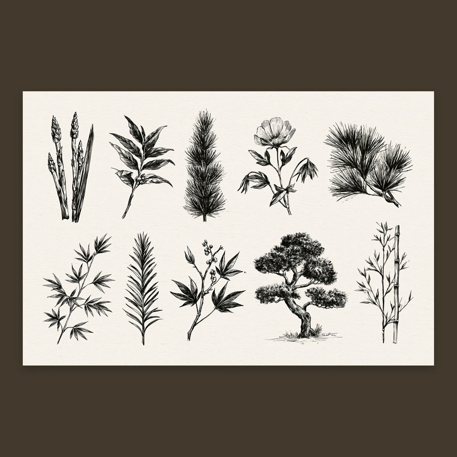 Japanese Botanical Chart – Japandi Wall Art
