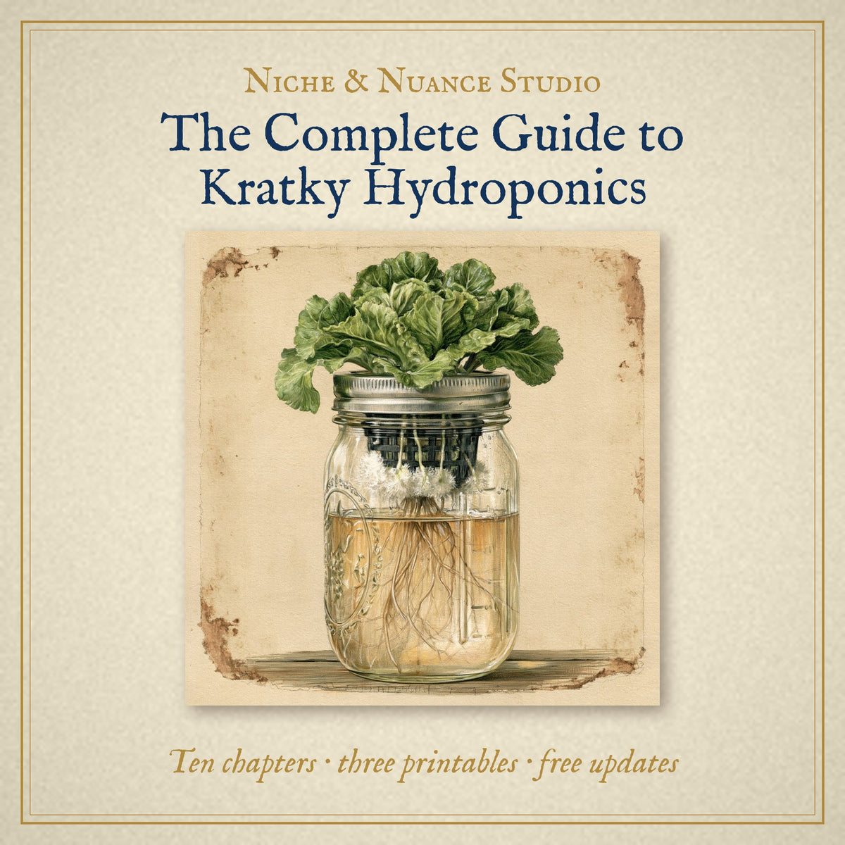 Colour pencil drawing of lettuce growing in a mason jar with roots in water, cover of The Complete Guide to Kratky Hydroponics