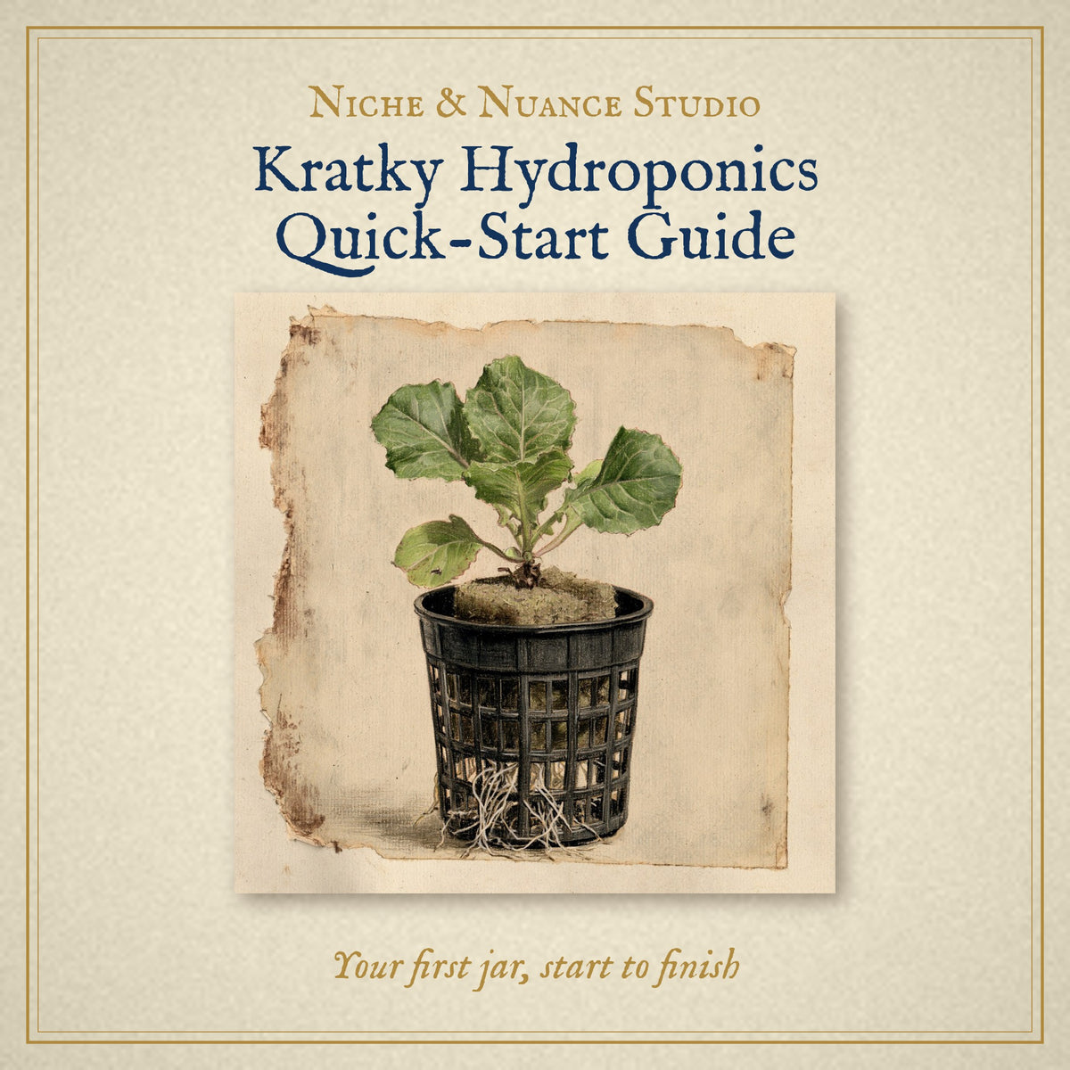 Colour pencil drawing of a lettuce seedling in a net pot, cover of the Kratky Hydroponics Quick-Start Guide