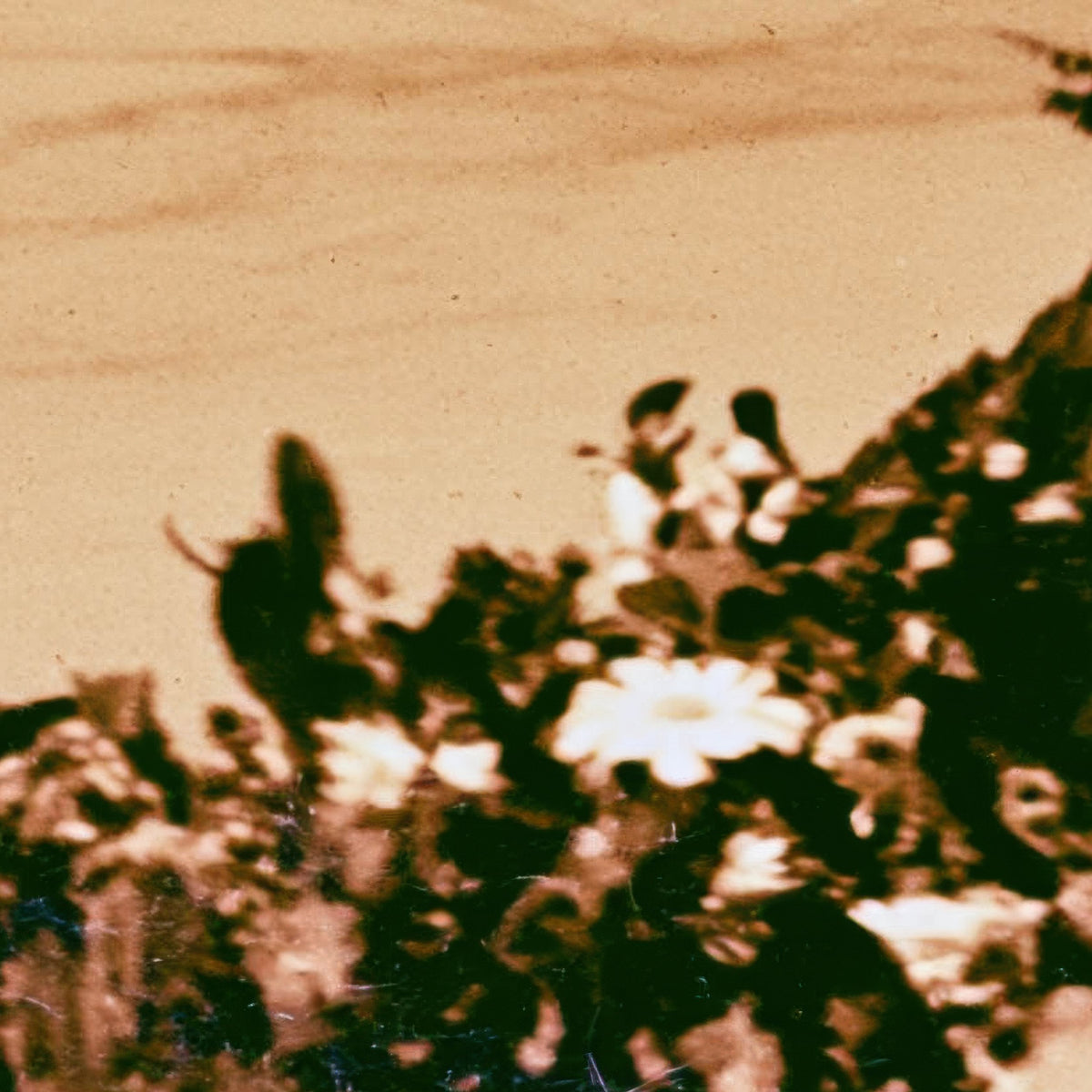 Vintage Style Coastal Cove in Sepia close-up detail