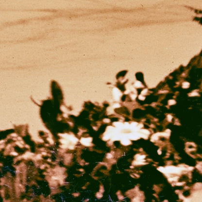Vintage Style Coastal Cove in Sepia close-up detail