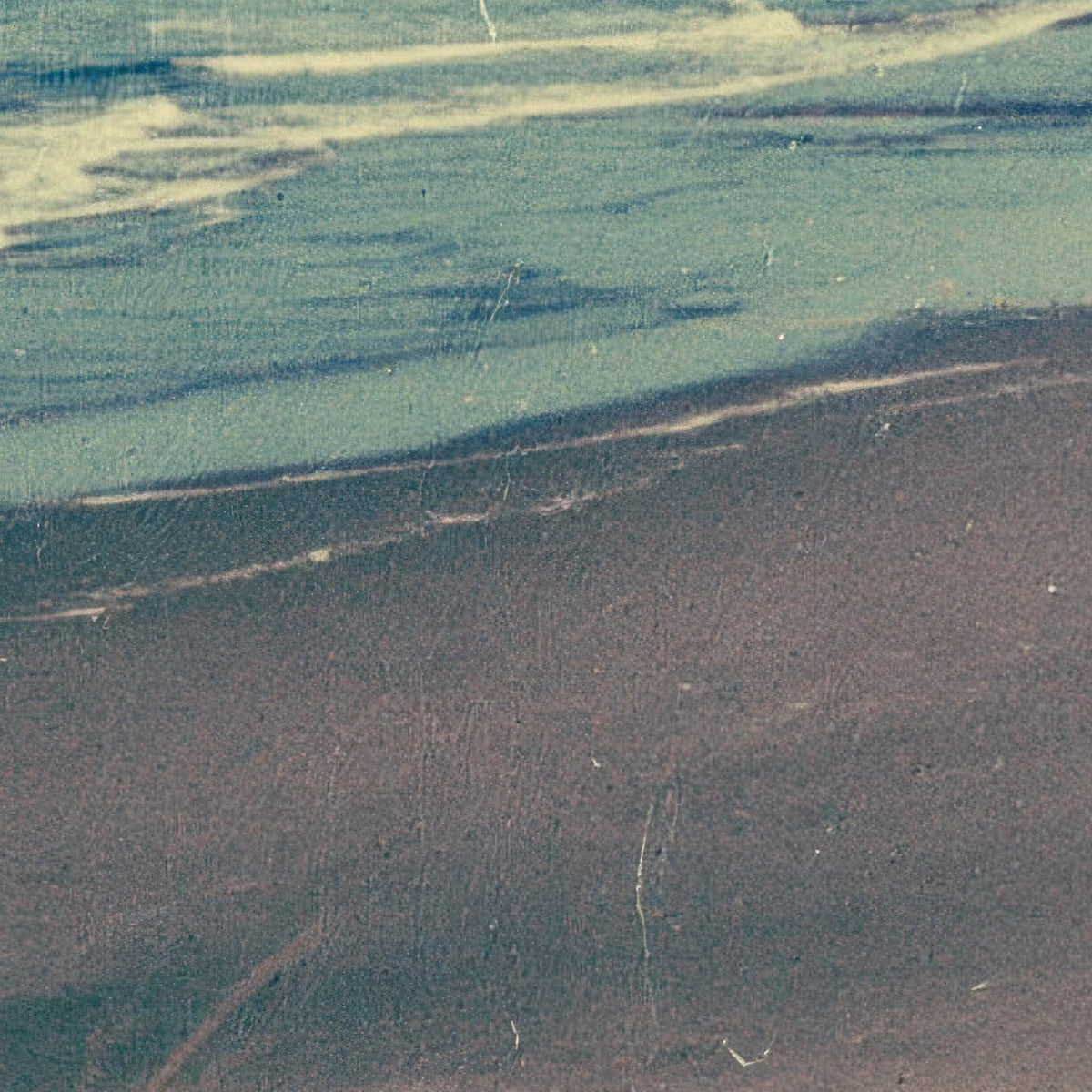 Dune Grass Beach at Dawn close-up detail