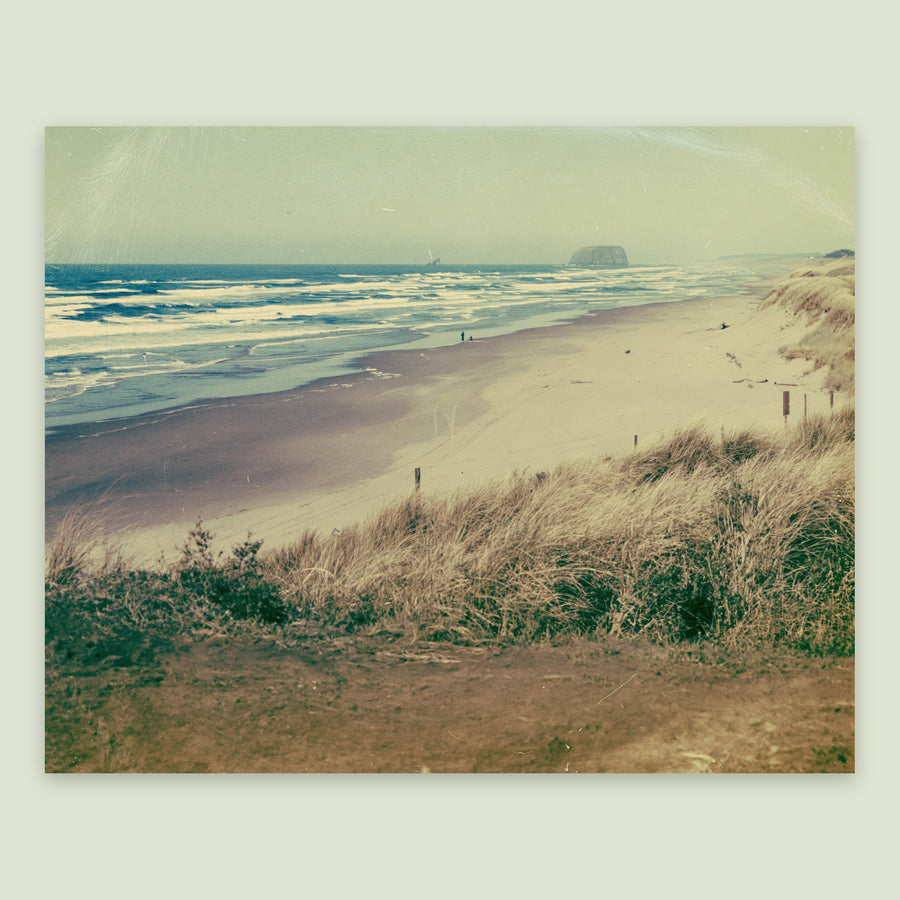 Dune Grass Beach at Dawn – Landscape Wall Art
