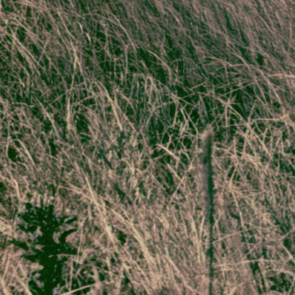 Vintage Sea Stack Coastline close-up detail