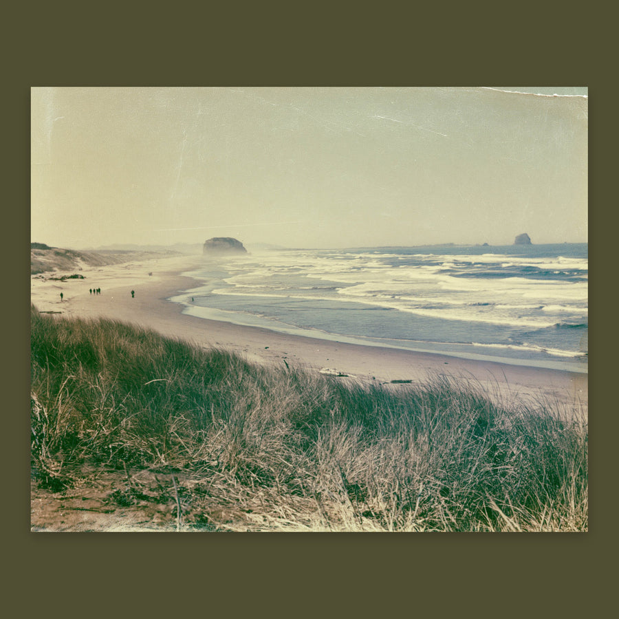 Coastal Dune Grasses and Sea Stacks – Landscape Wall Art
