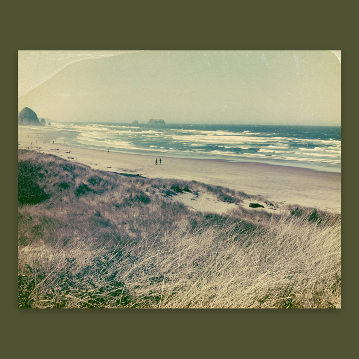 Vintage Dune Grass Coastline – Landscape Wall Art