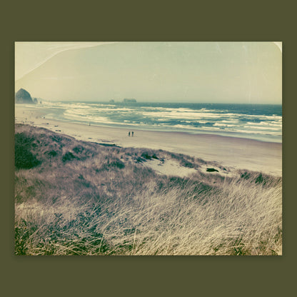 Vintage Dune Grass Coastline flat lay