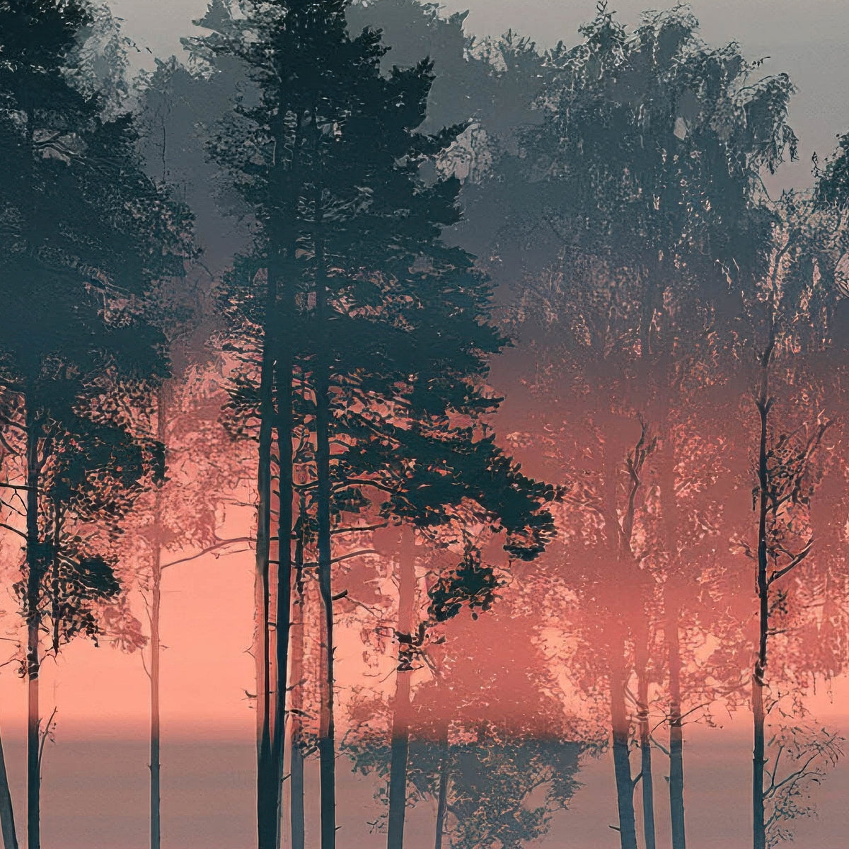 Misty Pine Forest at Dawn close-up detail