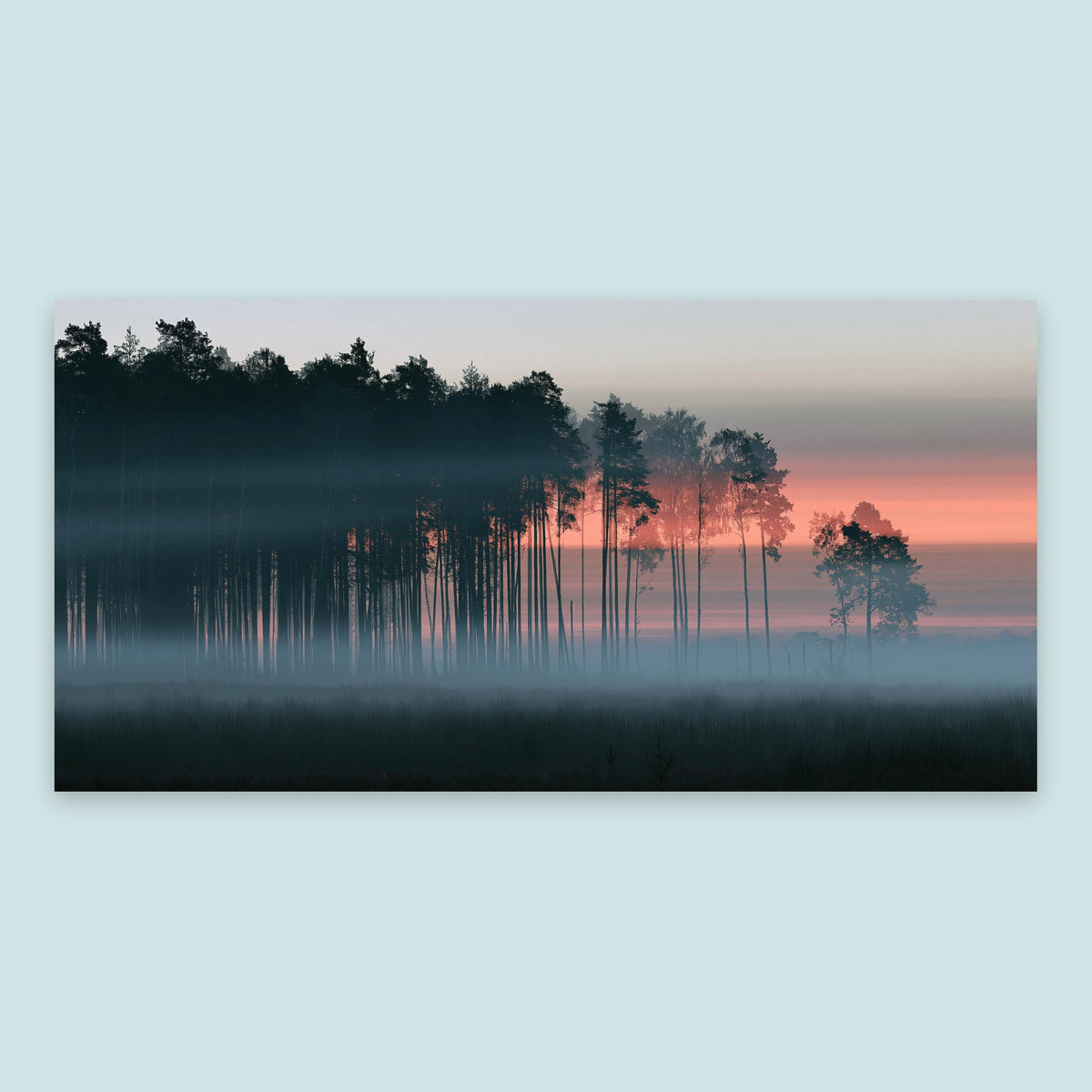 Misty Pine Forest at Dawn flat lay
