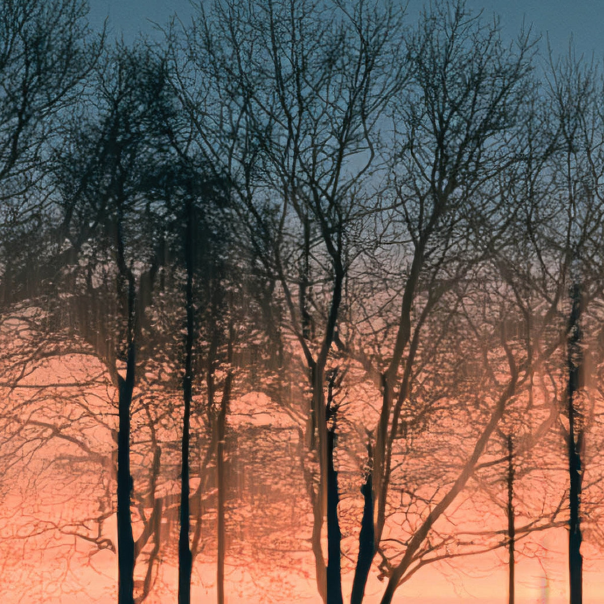 Misty Treeline at Dusk close-up detail