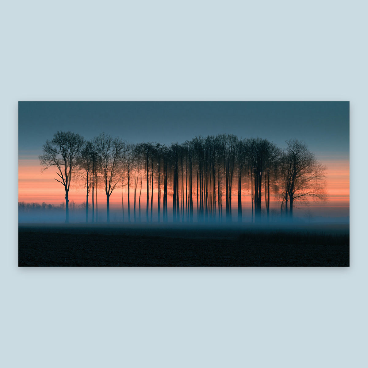 Misty Treeline at Dusk – Landscape Wall Art