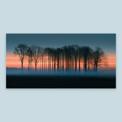 Misty Treeline at Dusk flat lay