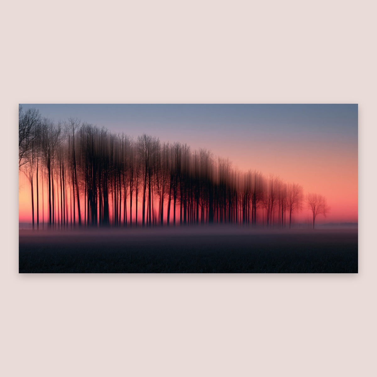 Bare Trees at Sunset flat lay