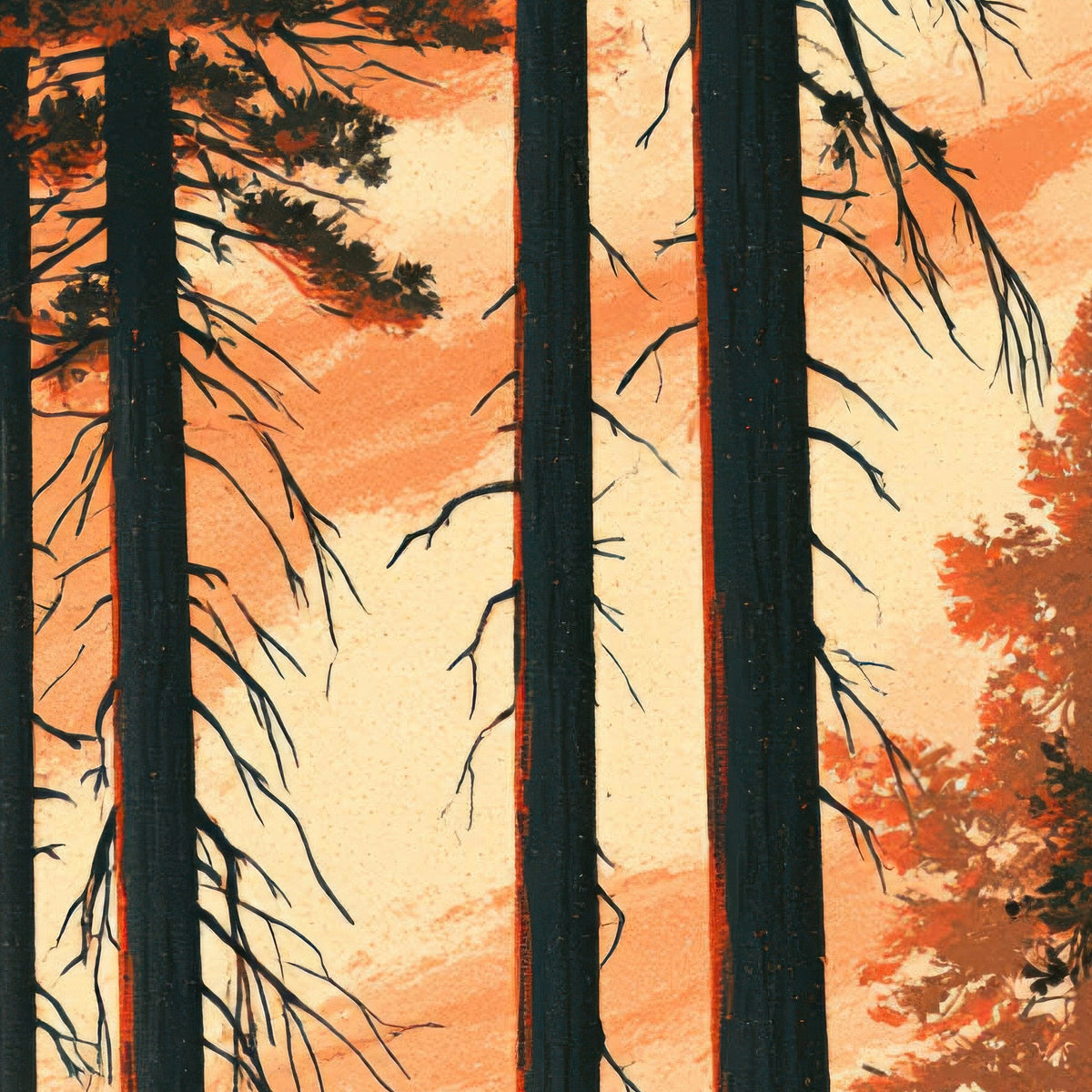 Giant Sequoia Trees at Sunset close-up detail