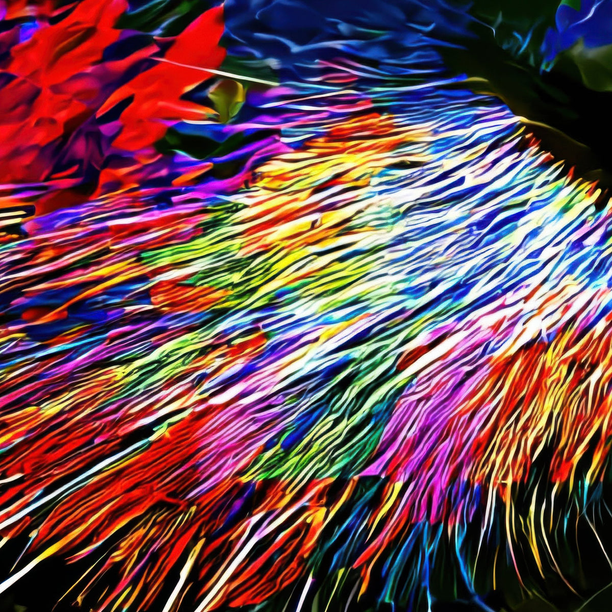 Neon Cat Eyes close-up detail