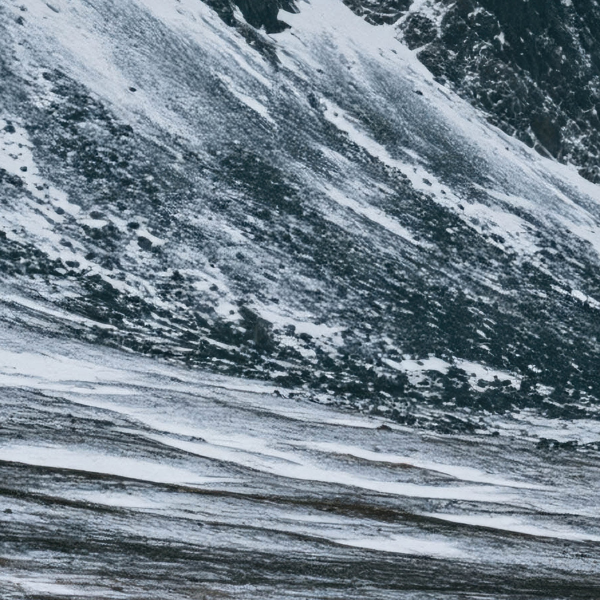 Snowy Mountain Valley with a Lone Deer close-up detail