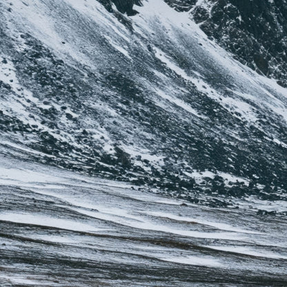 Snowy Mountain Valley with a Lone Deer close-up detail