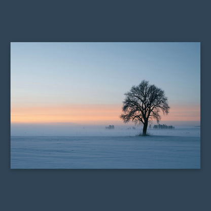 Solitary Tree at Dusk flat lay