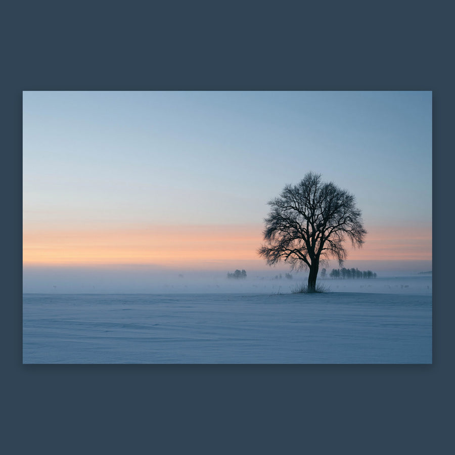 Solitary Tree at Dusk – Scandinavian Wall Art