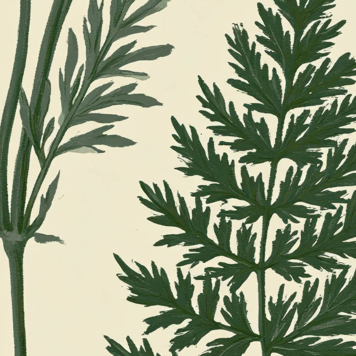 Botanical Fern and Herb Chart close-up detail