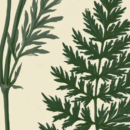 Botanical Fern and Herb Chart close-up detail