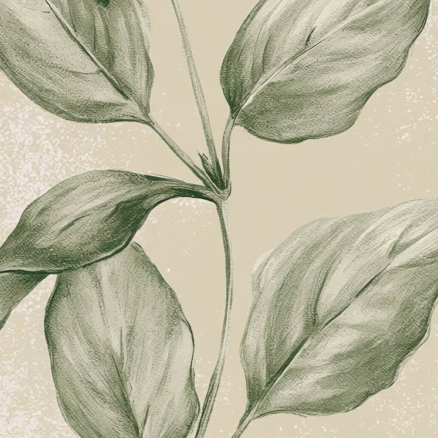 Four-Panel Botanical Sprig Illustration – Vintage Illustration Wall Art