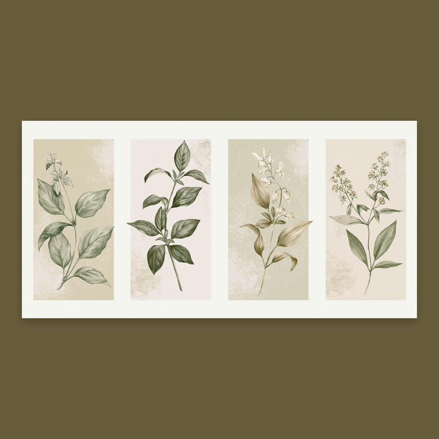 Four-Panel Botanical Sprig Illustration – Vintage Illustration Wall Art