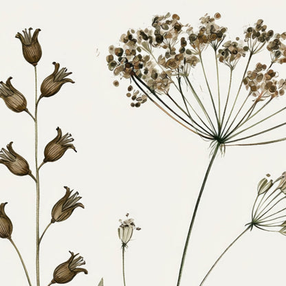 Old Herbarium Page close-up detail